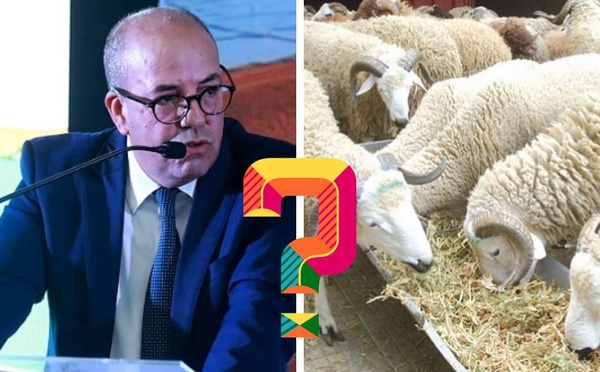 مقالة رأي : قرار وزير الفلاحة يثير الحيرة