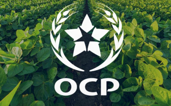 OCP تقود التحول الزراعي المستدام عالميًا بتعزيز مكانتها في سوق الأسمدة والحلول المتخصصة