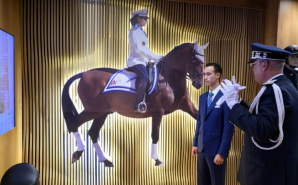 ولي العهد مولاي الحسن يفتتح الدورة الـ16 لمعرض الفرس بالجديدة