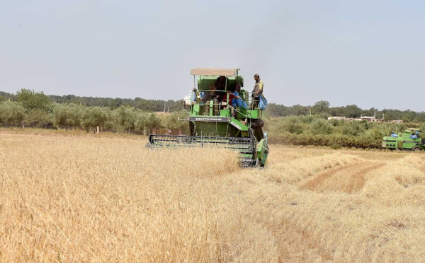 مالية 2026.. نمو متسارع وتضخم متراجع مع ضبط النفقات وتحسين الاستثمار