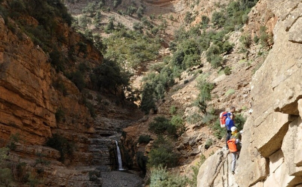 الخريف يلوّن الجبال ويُشعل موسم السياحة: حجوزات قياسية وانتعاش اقتصادي واعد