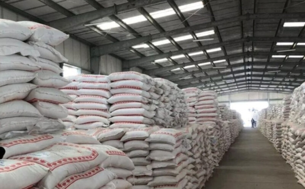 الحكومة تحدد ثمن القمح اللين للدقيق المدعّم في 258,80 درهما للقنطار لموسم 2025-2026