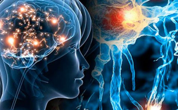 منظمة الصحة العالمية تحذر من أزمة عالمية بسبب اضطرابات الأعصاب : أكثر من 11 مليون وفاة سنوياً