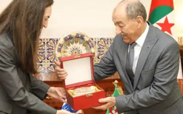 رئيس مجلس النواب يتباحث مع الممثلة المقيمة لبرنامج الأمم المتحدة الإنمائي بالمغرب