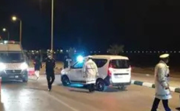 الرشيدية تطلق حملة لمطاردة الفأر الأصهب للحد من انتشار الليشمانيا