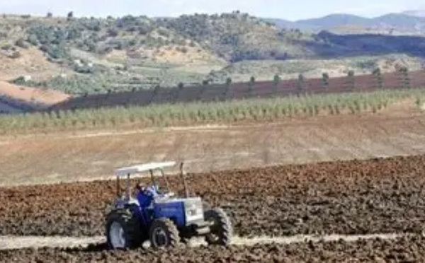 تأخر التساقطات يثير قلق الفلاحين ويُنذر بموسم فلاحي صعب