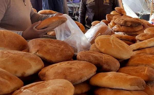 ارتفاع واردات المغرب من الحبوب إلى 99 مليون قنطار خلال الموسم الفلاحي 2025/2024