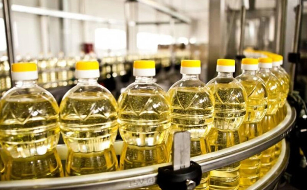 الحكومة تصادق على مرسوم جديد لضمان جودة الزيوت النباتية وسلامتها