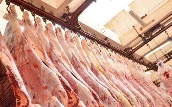 ارتفاع صادرات الاتحاد الأوروبي من لحوم الأبقار والمواشي نحو المغرب بنسبة 25.7% خلال النصف الأول من 2025