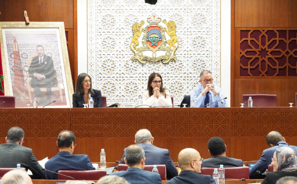 دواء للحيوانات استخدمه مواطنون في كورونا.. تصريحات برلمانية تشعل النقاش في لجنة المالية