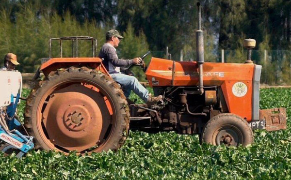 مشروع قانون المالية 2026: تحويل “صندوق التنمية القروية” إلى “الصندوق الترابي المندمج” لتعزيز العدالة المجالية