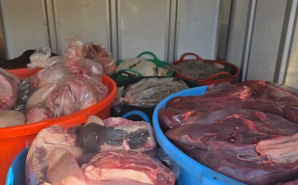 طنجة.. حجز ما يقارب طناً من أحشاء الأبقار غير الصالحة للاستهلاك