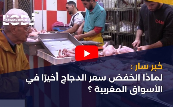خبر سار : لماذا انخفض سعر الدجاج أخيرًا في الأسواق المغربية ؟