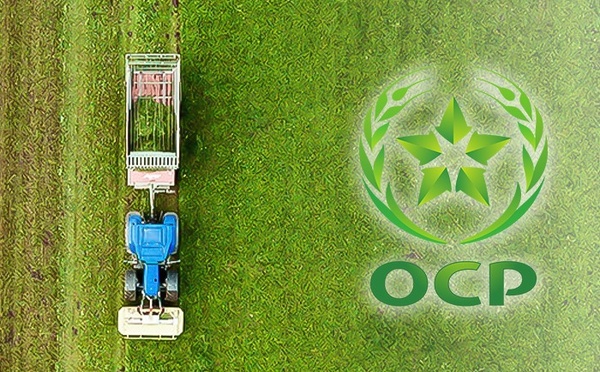 ​كتوسع مجموعتها بمنتوج جديد NP 5-42، سماد هجين للسوق الأوروبي