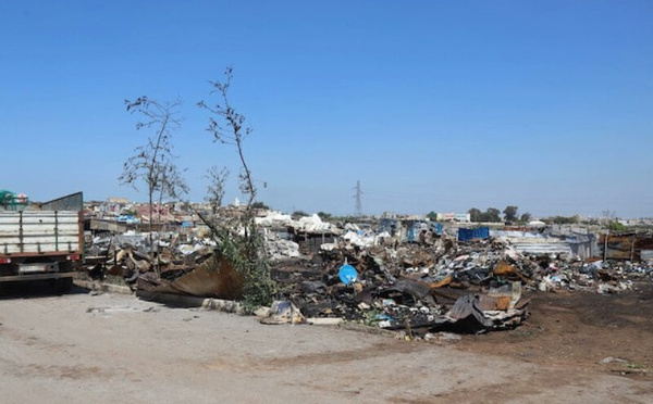 حملة واسعة لإخلاء الأراضي الفلاحية من المتلاشيات والخردة بإقليم مديونة