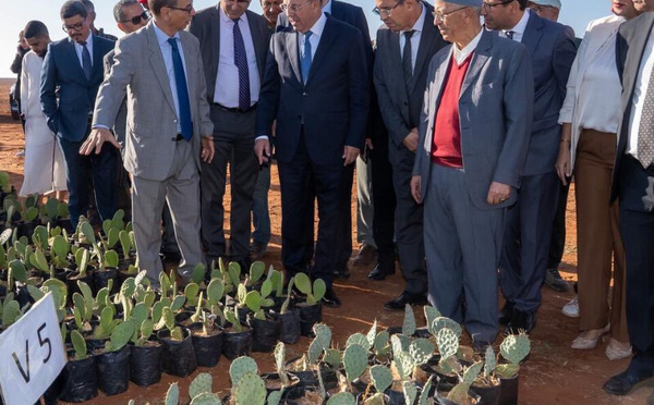 وزير الفلاحة يتفقد برامج “الجيل الأخضر” في إقليمي الجديدة وبنسليمان