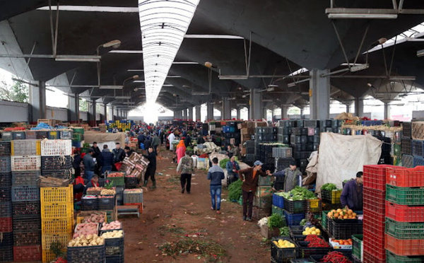 أسواق الجملة بالمغرب تحافظ على استقرار التزويد بالمنتجات الفلاحية رغم المنخفضات الجوية