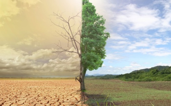 المغرب يحتل المرتبة السادسة عالمياً في مؤشر الأداء المناخي العالمي CCPI 2026