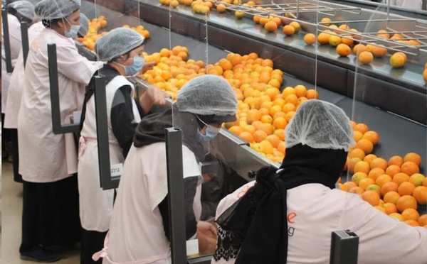 المغرب وتركيا يحرزان تقدماً في المفاوضات حول تصدير المنتجات الزراعية