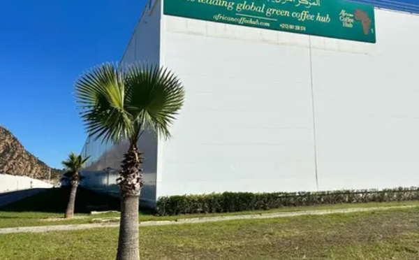 ميناء طنجة المتوسط يتحول إلى منصة عالمية لتموقع إفريقيا في سوق القهوة