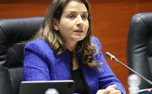 بنعلي تطالب بجبهة إفريقية موحدة لضبط معايير استغلال المعادن الاستراتيجية