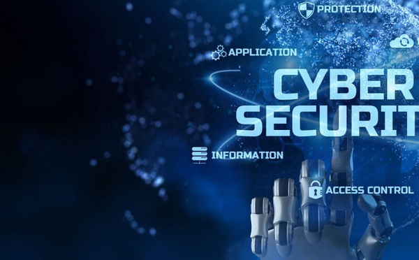 مجلس أوروبا يشيد بريادة المغرب التشريعية في مكافحة الجريمة السيبرانية