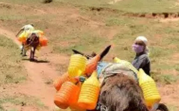 ​تعزيز التنمية القروية المتكاملة عبر إطلاق 36 مركزاً نموذجياً ضمن قانون مالية 2026