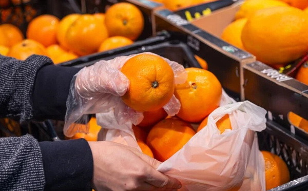 ارتفاع واردات روسيا من “اليوسفي” المغربي بنسبة 74% خلال 2025