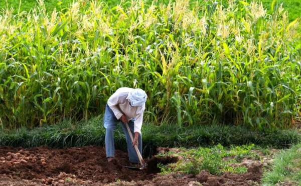 الأمطار في الدار البيضاء-سطات: دينامية جديدة للموسم الزراعي