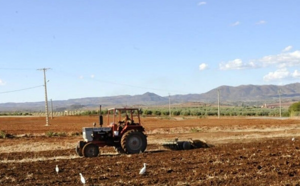 تساقطات مطرية مهمة تهدئ قلوب الفلاحين بجهة الدار البيضاء سطات