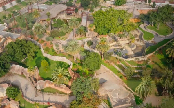 افتتاح حديقة الحيوانات قبل “كان 2025”… ورهان جماعي على إنعاش السياحة بالمدينة