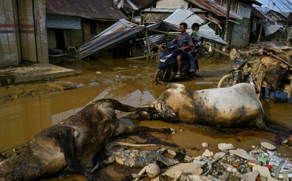 ​فيضانات وانهيارات أرضية في جزيرة سومطرة الإندونيسية تتسبب في مقتل 950 شخصًا وفقدان المئات