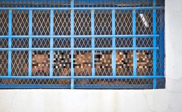 الإفراج المقيد بشروط: آلية حديثة لتعزيز التأهيل وتقليل الاكتظاظ السجني