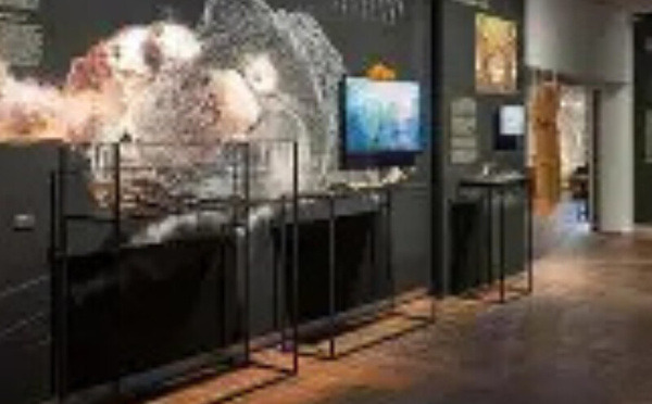 افتتاح معرض "Arte dal Vulcano" للاحتفاء بالفنون المستوحاة من الطبيعة البركانية