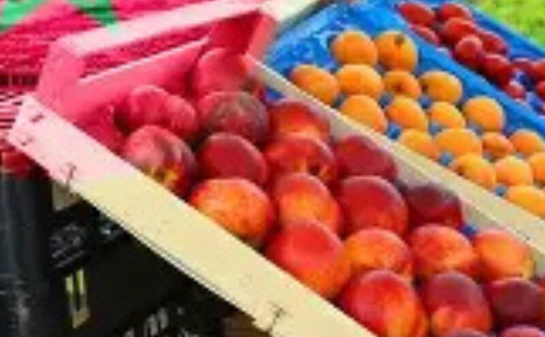 المغرب يبرز جودة منتجاته الغذائية في باريس