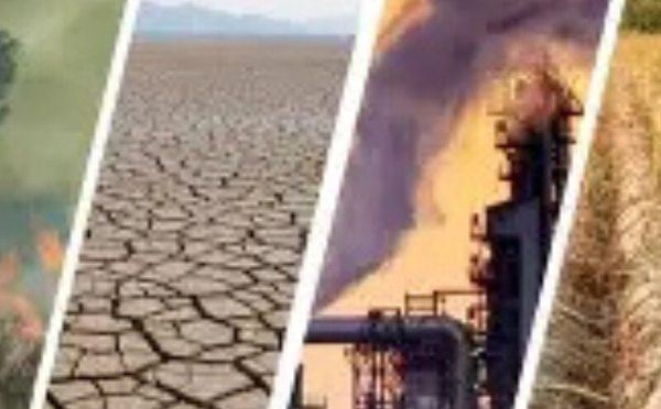 المغرب يغير برمجيات مواجهة التغيرات المناخية: استراتيجية جديدة نحو الاستدامة والابتكار الأخضر