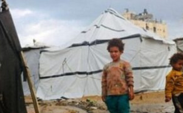 تفاقم المأساة الإنسانية في غزة رغم استمرار وقف إطلاق النار لليوم الثالث والستين