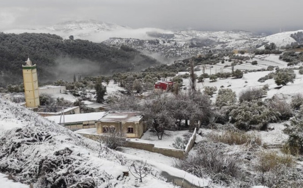 تاونات تواجه موجة البرد بتعبئة استباقية وحزمة تدابير متعددة