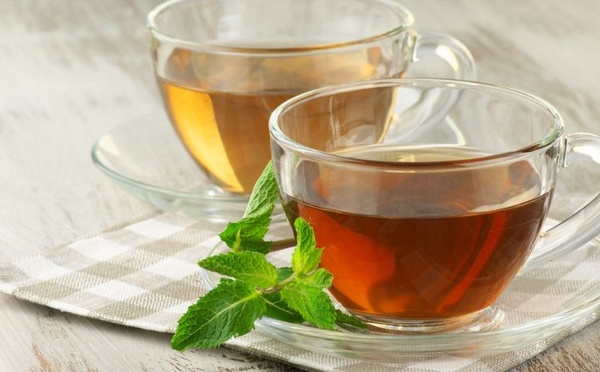 غسول الشاي للشعر: الشاي الأخضر أم الشاي الأسود الأفضل لفروة الرأس؟