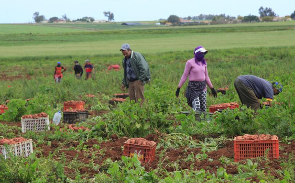 هطول أمطار غزيرة ينعش التفاؤل بالمحاصيل الفلاحية بالدار البيضاء-سطات