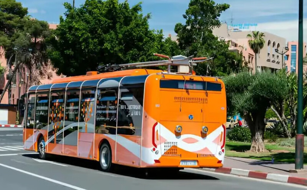 مراكش تطلق أسطولاً جديداً من الحافلات لتحديث النقل الحضري