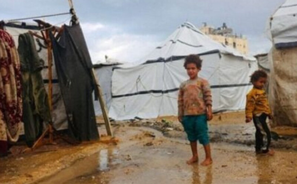 غزة بعد توقف الحرب… انهيار إنساني متواصل وحراك سياسي بحثًا عن مخرج