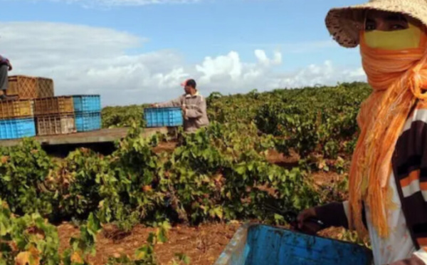 الحكومة تصادق على رفع الحد الأدنى للأجور بنسبة 5% في القطاعات الفلاحية وغير الفلاحية