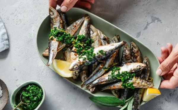 السردين أم التونة؟ مقارنة غذائية لاختيار السمك الأكثر فائدة