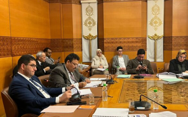 بنسعيد يمرر مشروع قانون الصحافة في مجلس المستشارين بعد رفضه ل 139 تعديلا