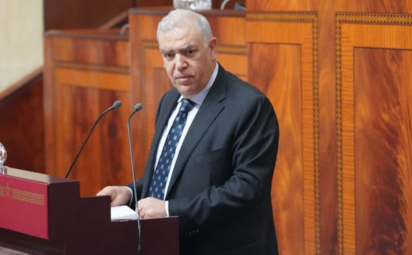 عبد الوافي لفتيت يوضح آليات ضمان مشاركة مغاربة العالم في انتخابات 2026