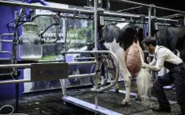 افتتاح مركز كارفور زناتة الجديد في الدار البيضاء