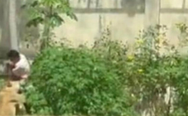 وفاة شاب برازيلي داخل قفص أسد تعيد طرح أسئلة السلامة والصحة النفسية