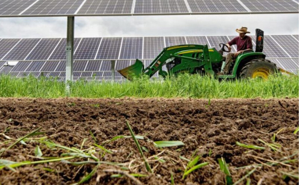 71 ألف وظيفة جديدة.. المغرب يتصدر قائمة الاستثمار الأجنبي في قطاع الأغذية والزراعة