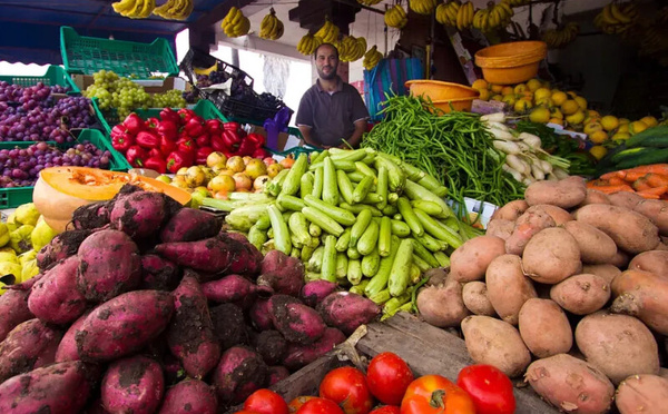 تقلبات الطقس ترفع أسعار الخضراوات في المغرب: الأمطار تعرقل الحصاد والأسواق تتأثر